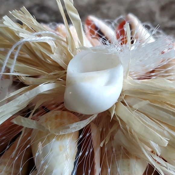 Sea Shells - Picture 2 of 4